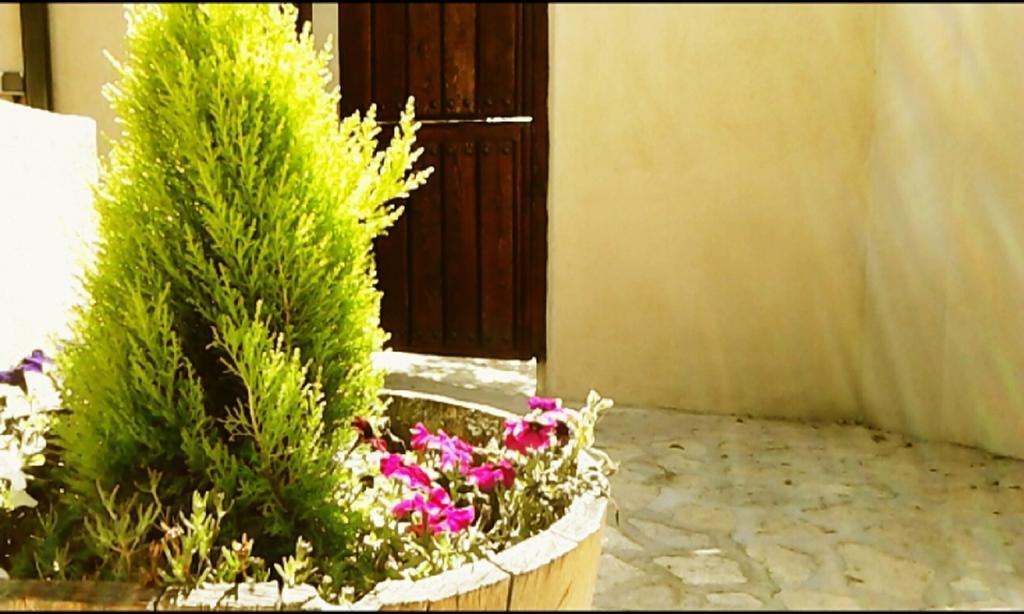 Maison d'hôtes El Jardincillo à Robledo de Chavela Extérieur photo